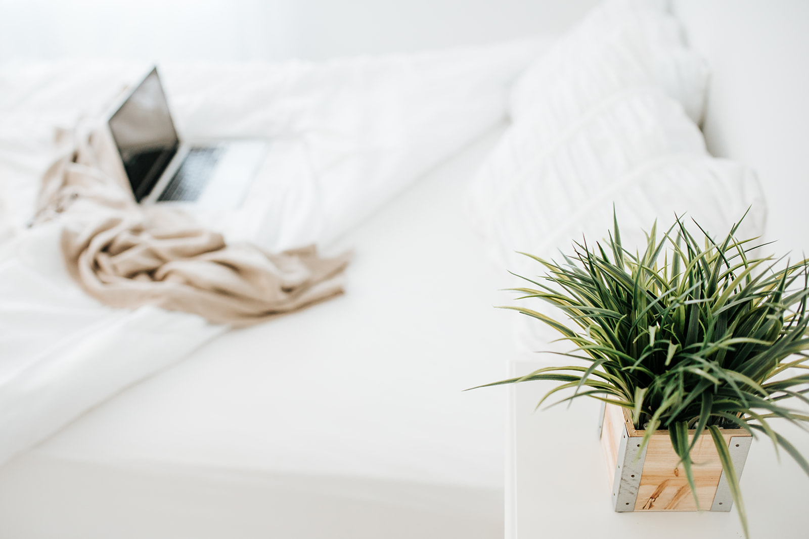 Cozy Workday - B026